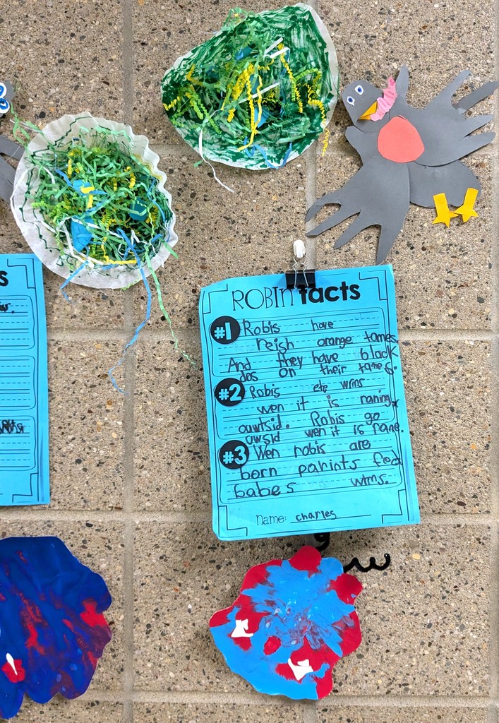 Kids artwork about robins and butterflies. 