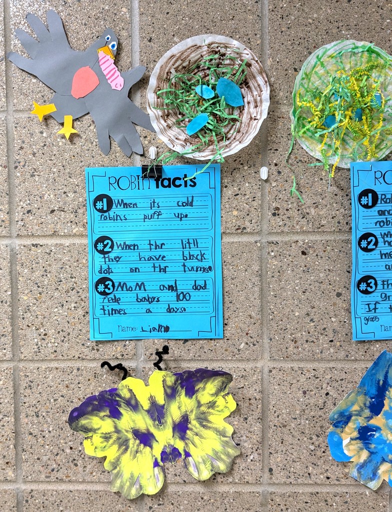 Kids artwork about robins and butterflies. 