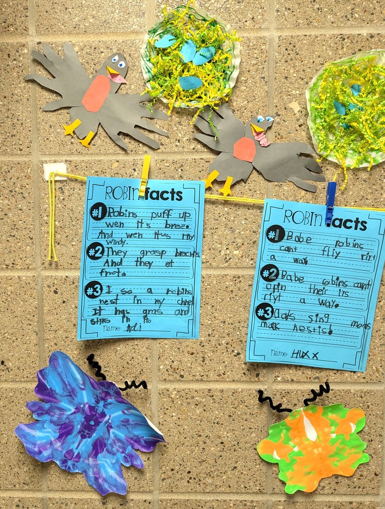 Kids artwork about robins and butterflies. 