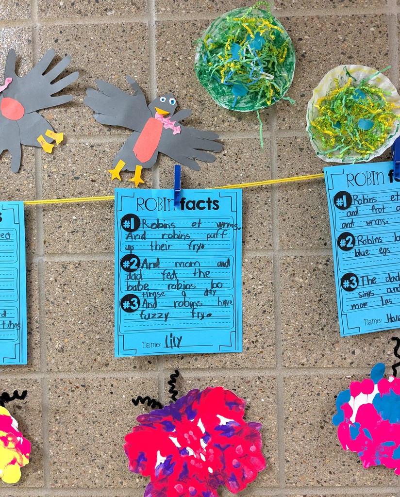 Kids artwork about robins and butterflies. 