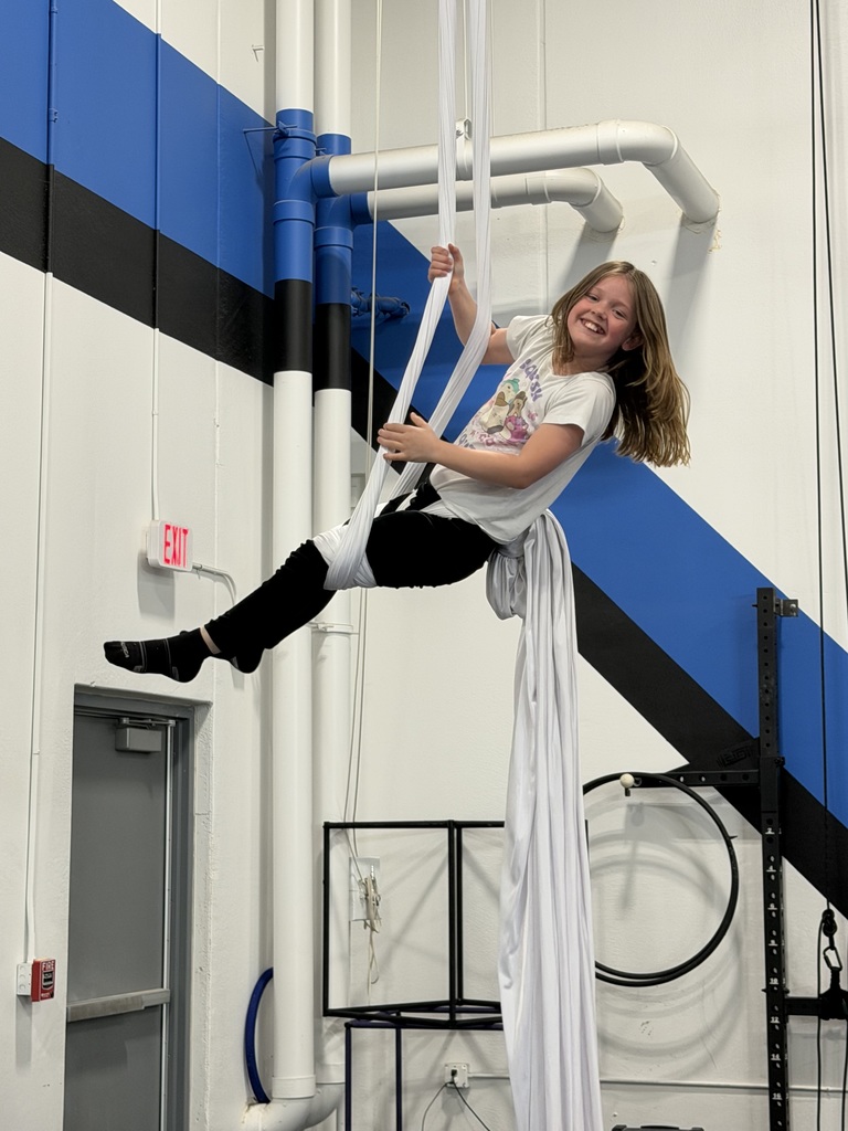 girl on silks
