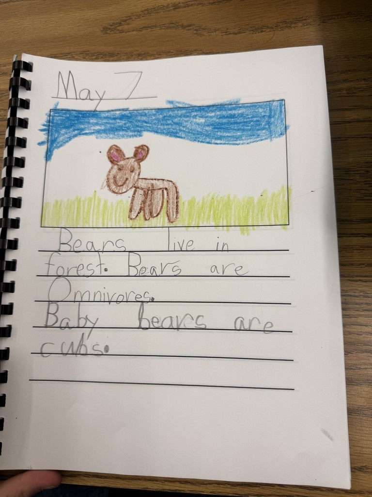 A notebook page a student wrote: Bears live in forest. Bears are omnivores. Baby bears are cubs.