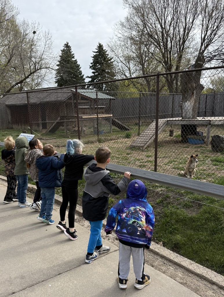 K01 students looking at the singing dogs