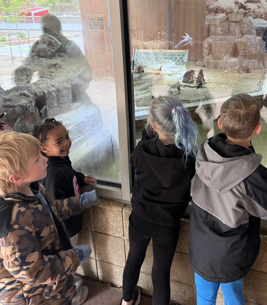 K01 students looking at penguins