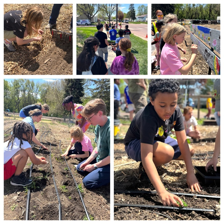 a collage style photo of students planting a garden 