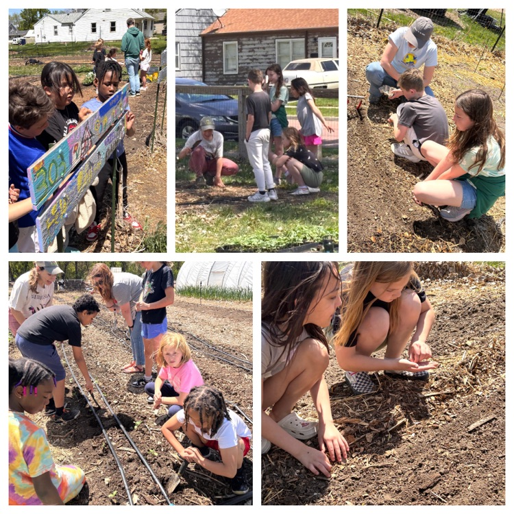 a collage style photo of students planting a garden