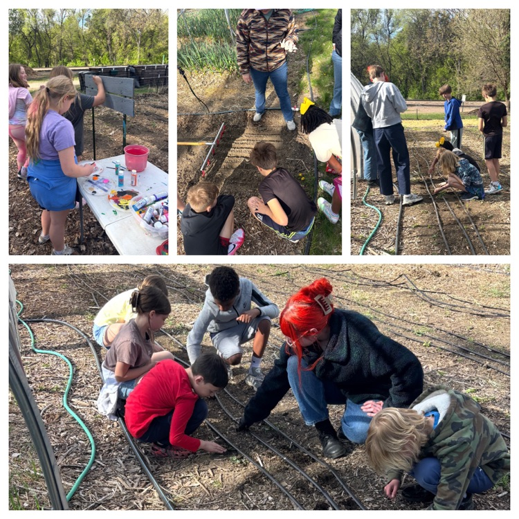 a collage style photo of students planting a garden 