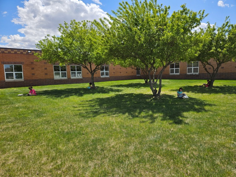 students sitting in the grass reading 