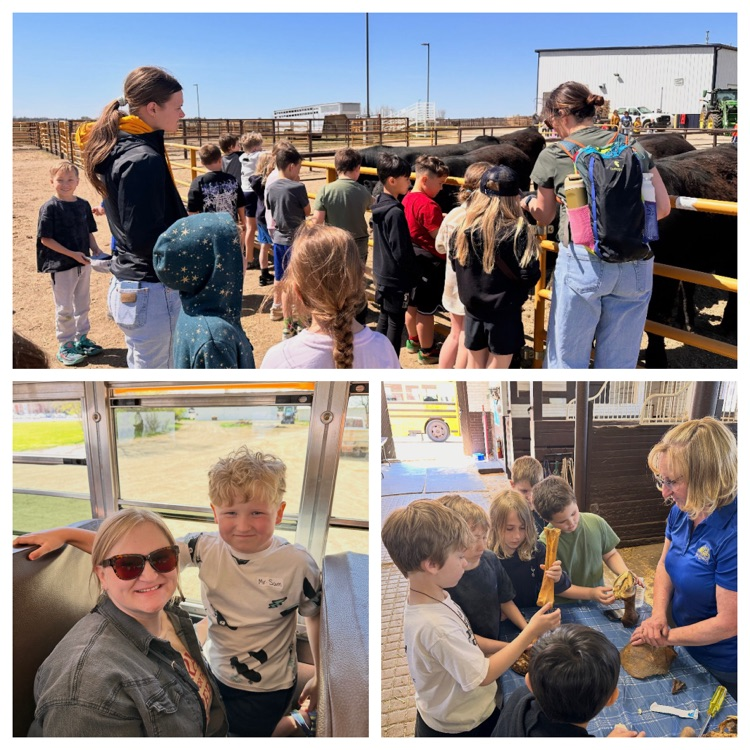 collage style photo of a field trip