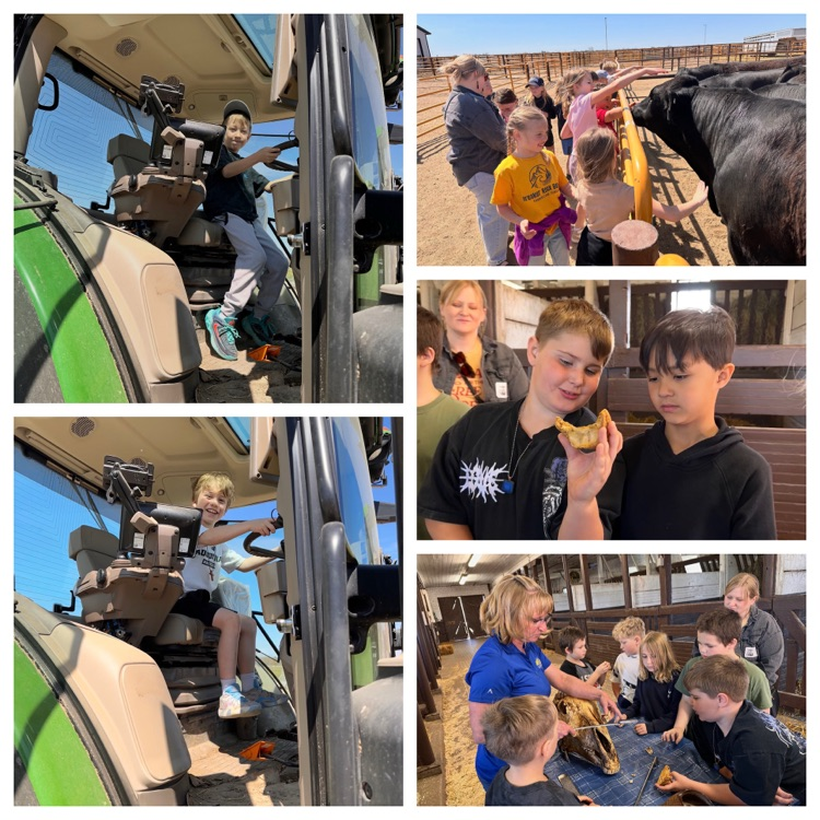 collage style photo of a field trip