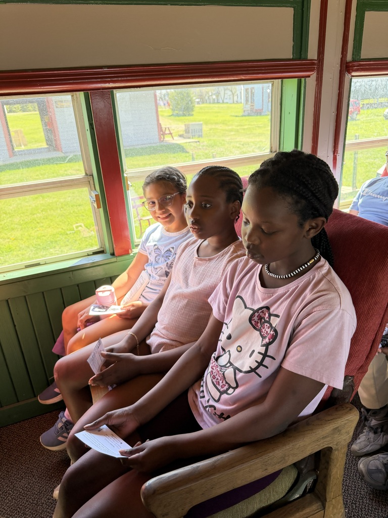 3 girls on the train