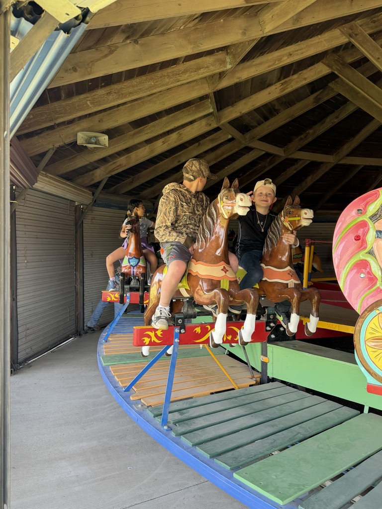2 boys on a carousel