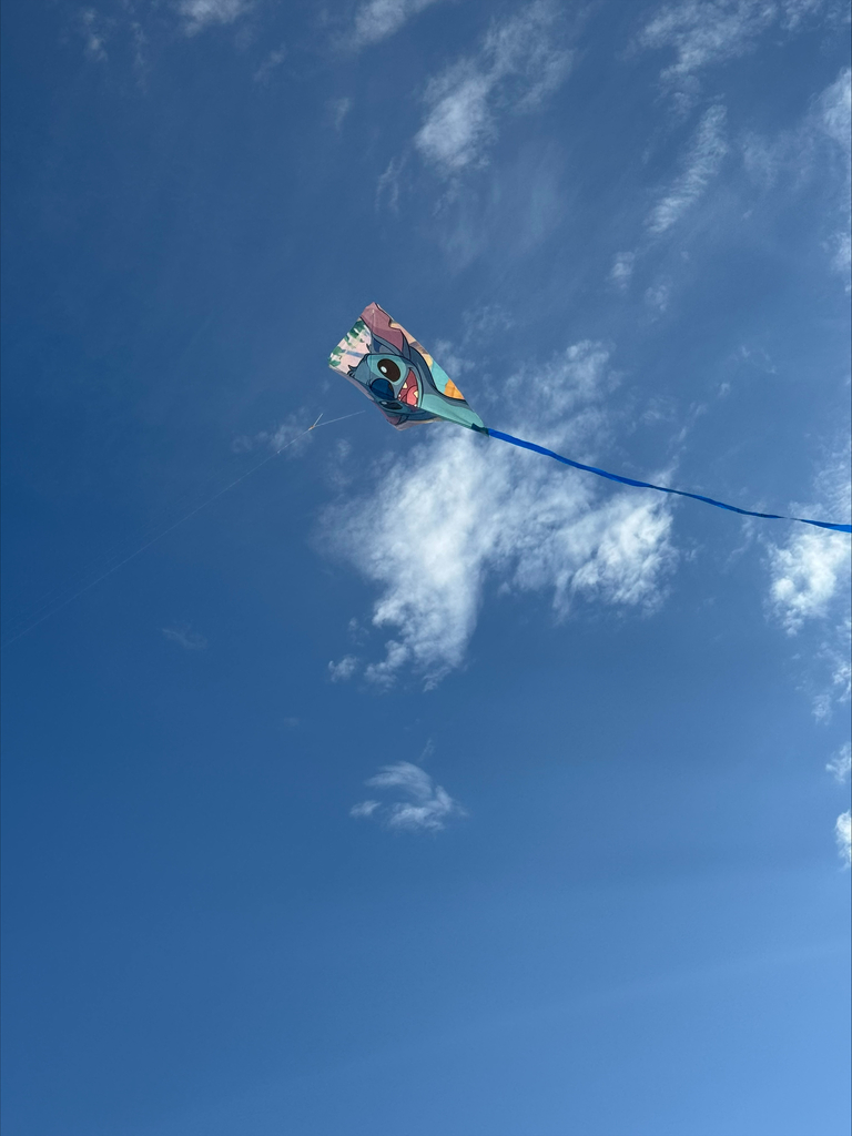 kite flying against a blue sky