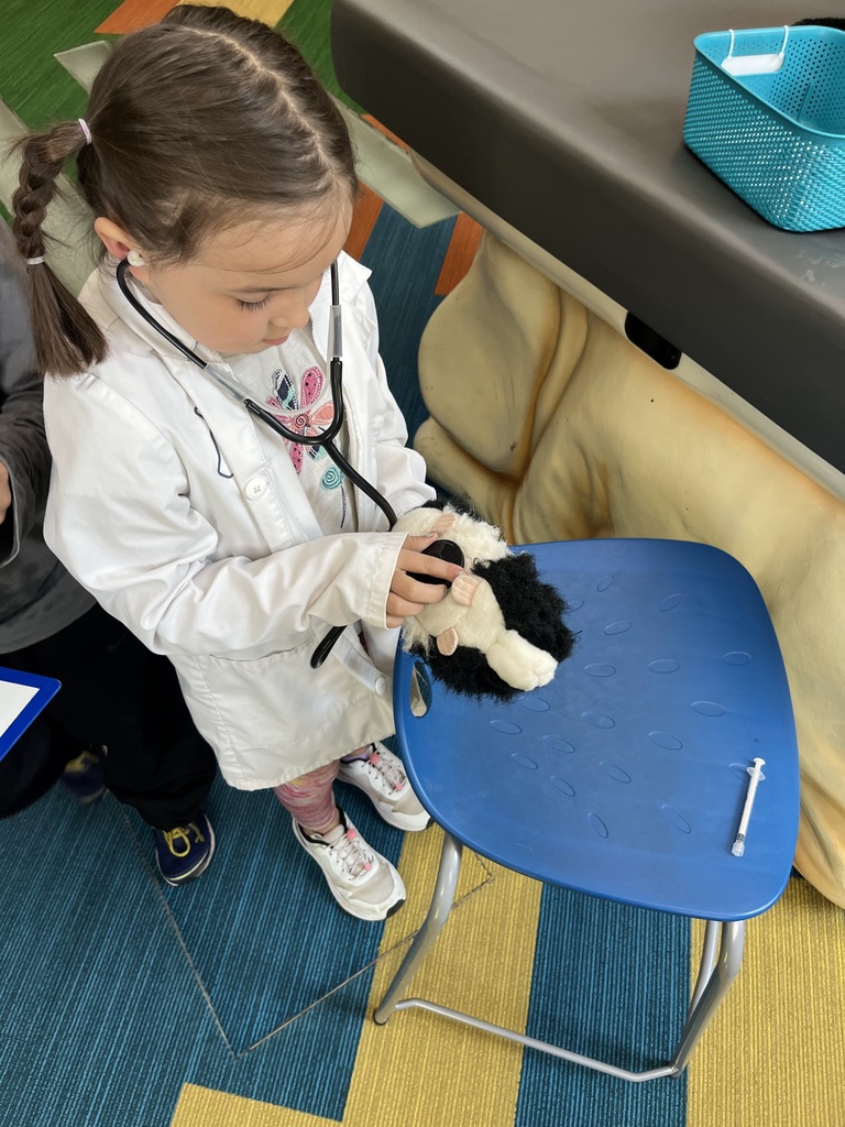 girl using a stethoscope