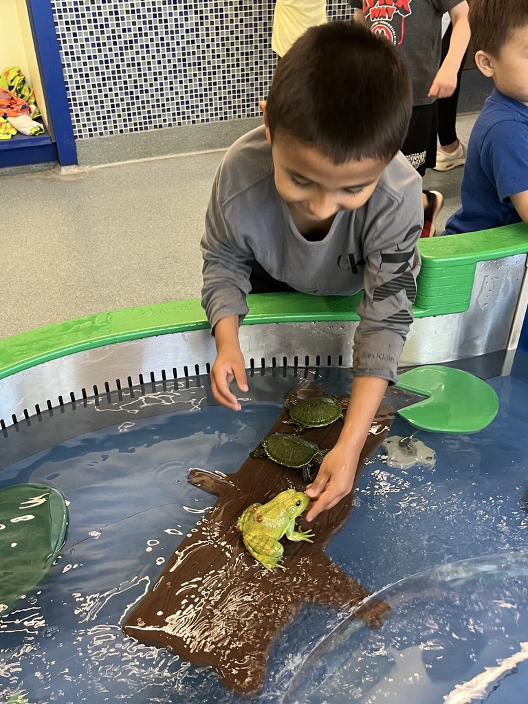 boy playing in water