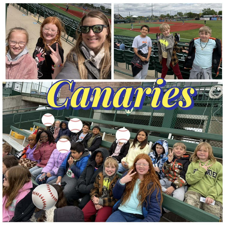 students enjoying a Canaries baseball game 