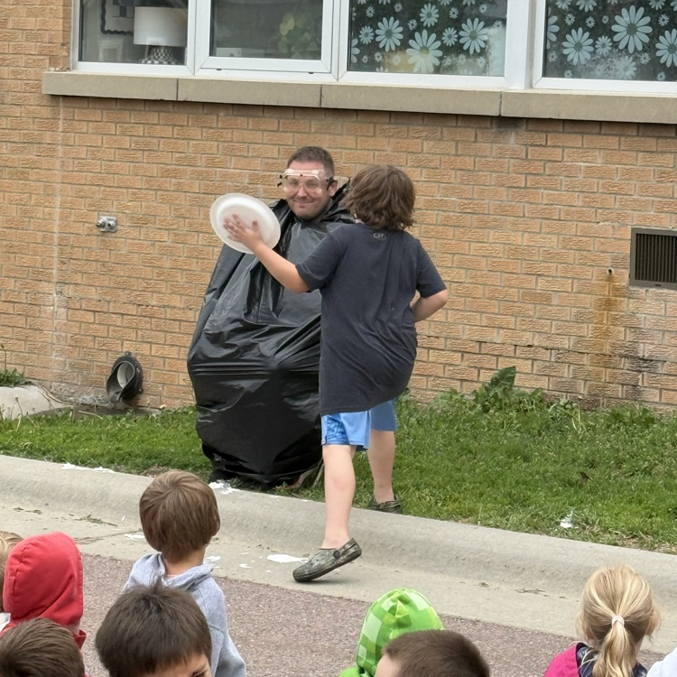 pie in the face