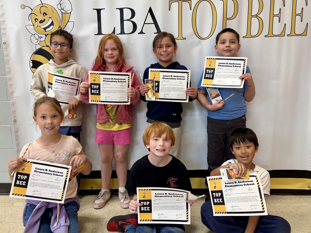 2nd grade top bees