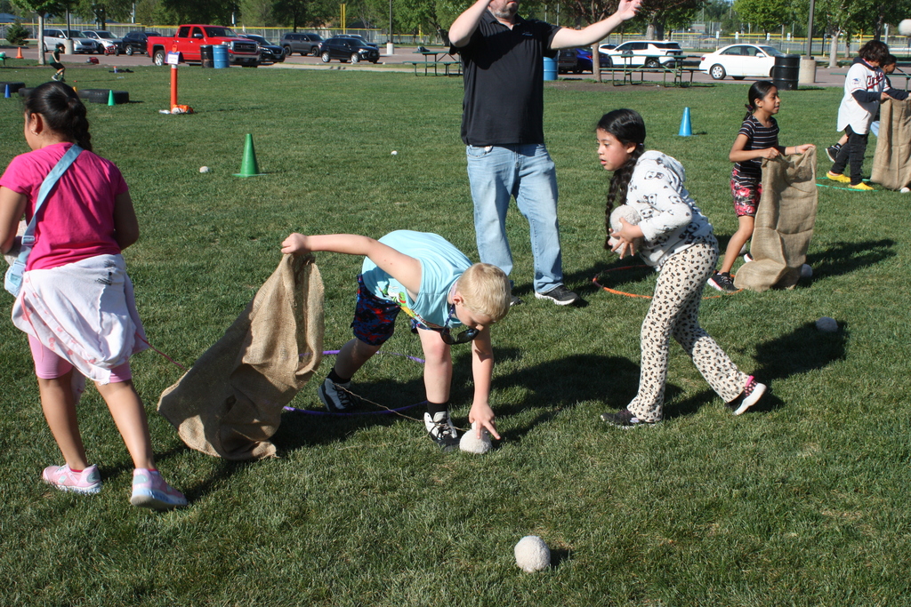 field day