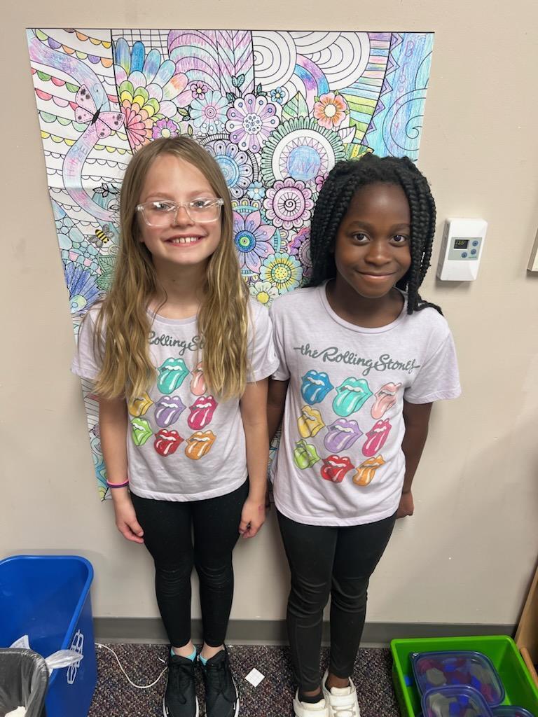 Students twinning.