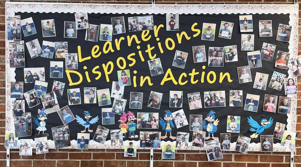 learner disposition in acrion