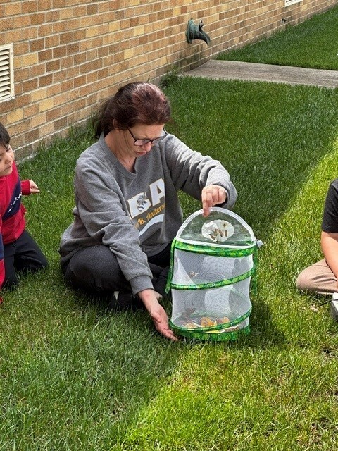 teacher releasing butterflies