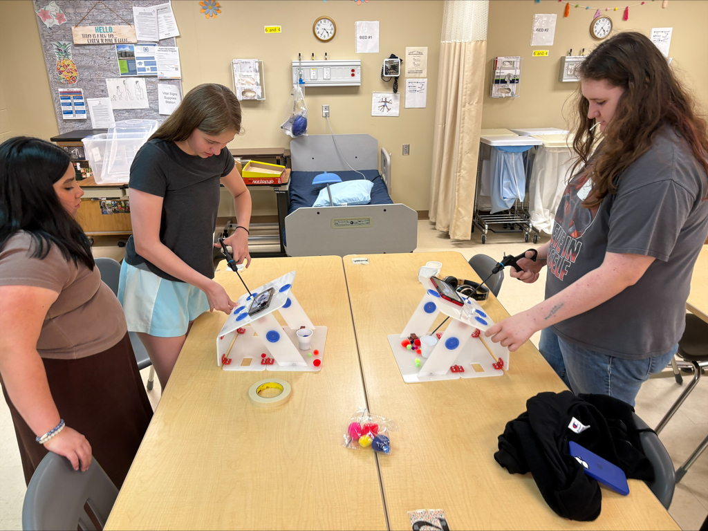 Students participating in an activity