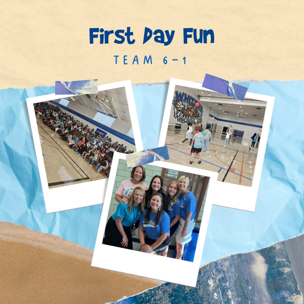 Photo board of some 6th grade activities