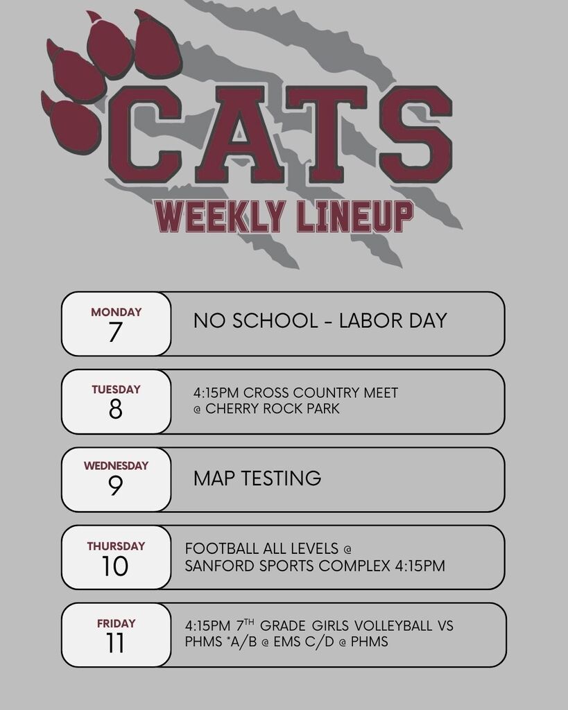 Cats Weekly lineup