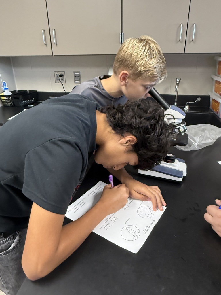 8th grade biology students using microscopes to observe cells.