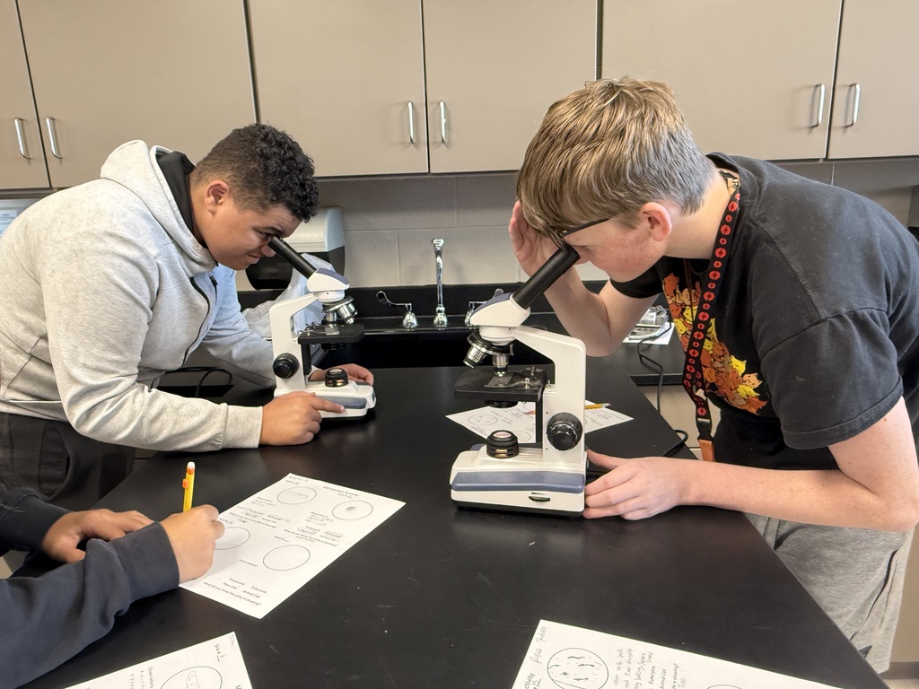 8th grade biology students using microscopes to observe cells.