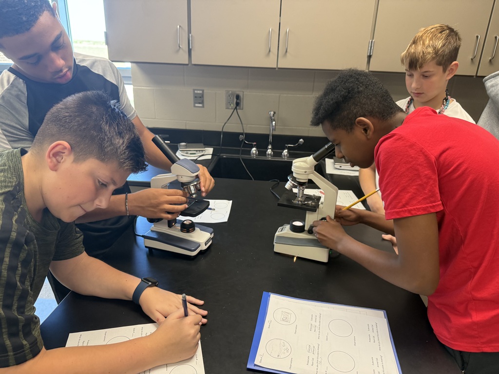 8th grade biology students using microscopes to observe cells.