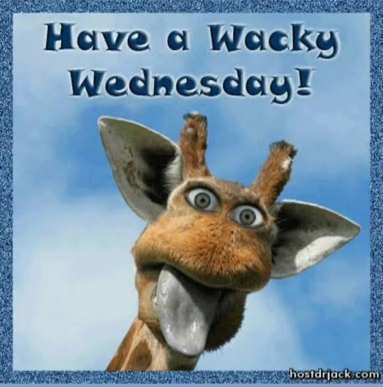 have a wacky Wednesday 