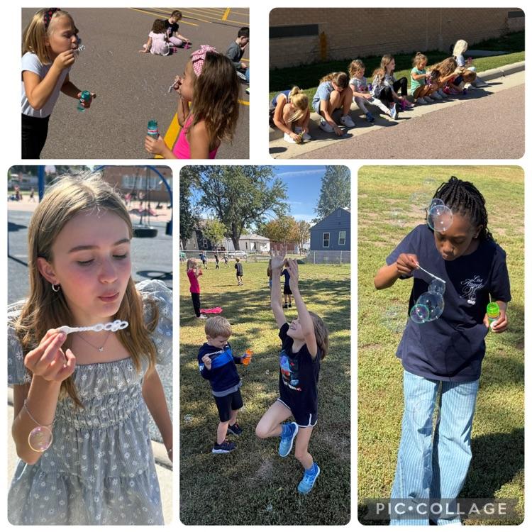 bubble day