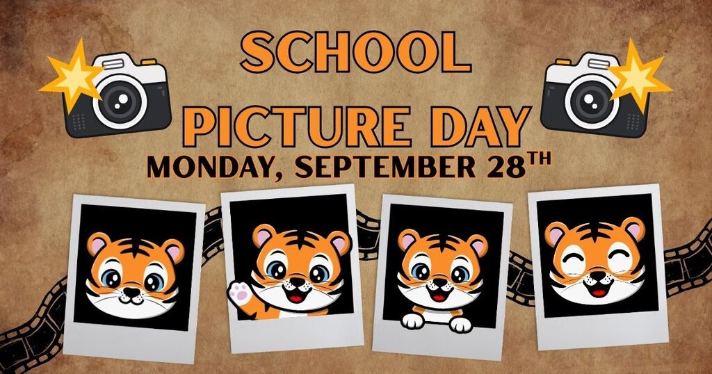 cartoon cameras, cartoon tigers in polaroids, camera film