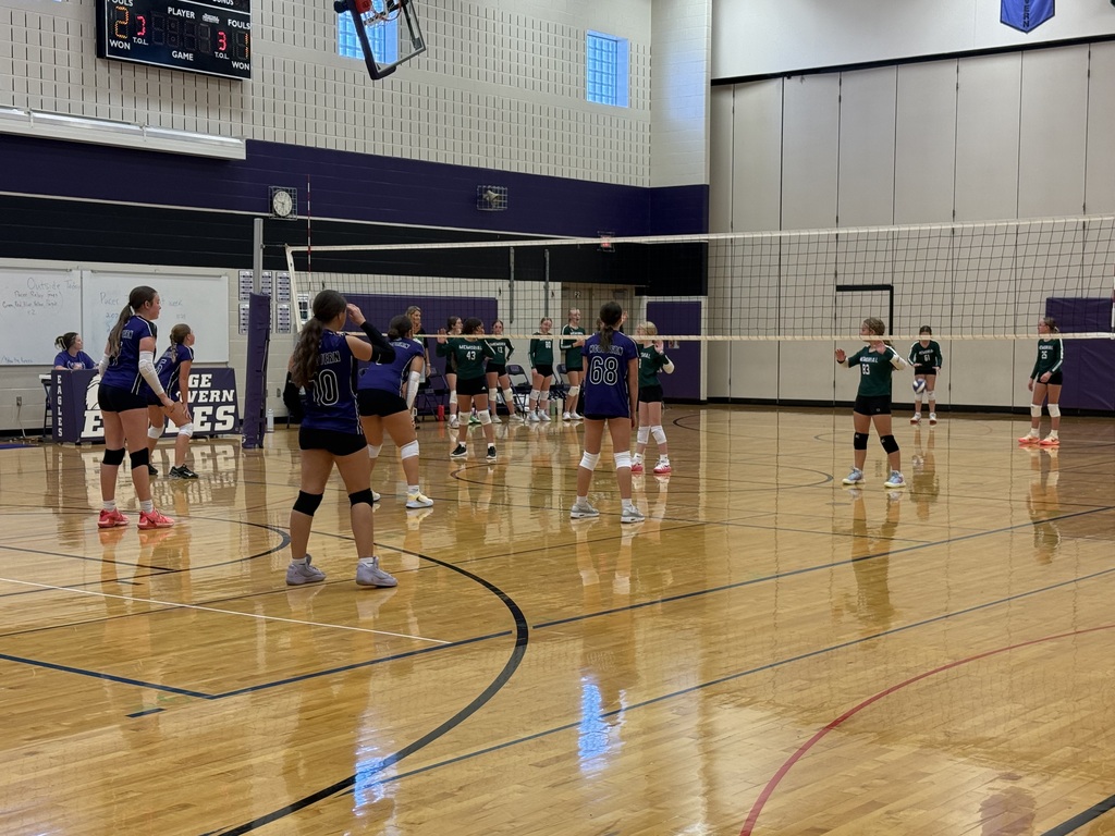 Volleyball players on the court. 