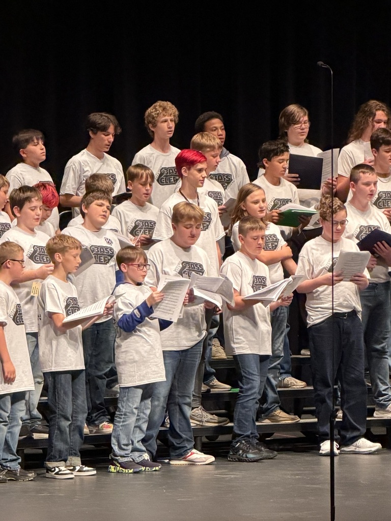 Boys singing in a choir concert. 