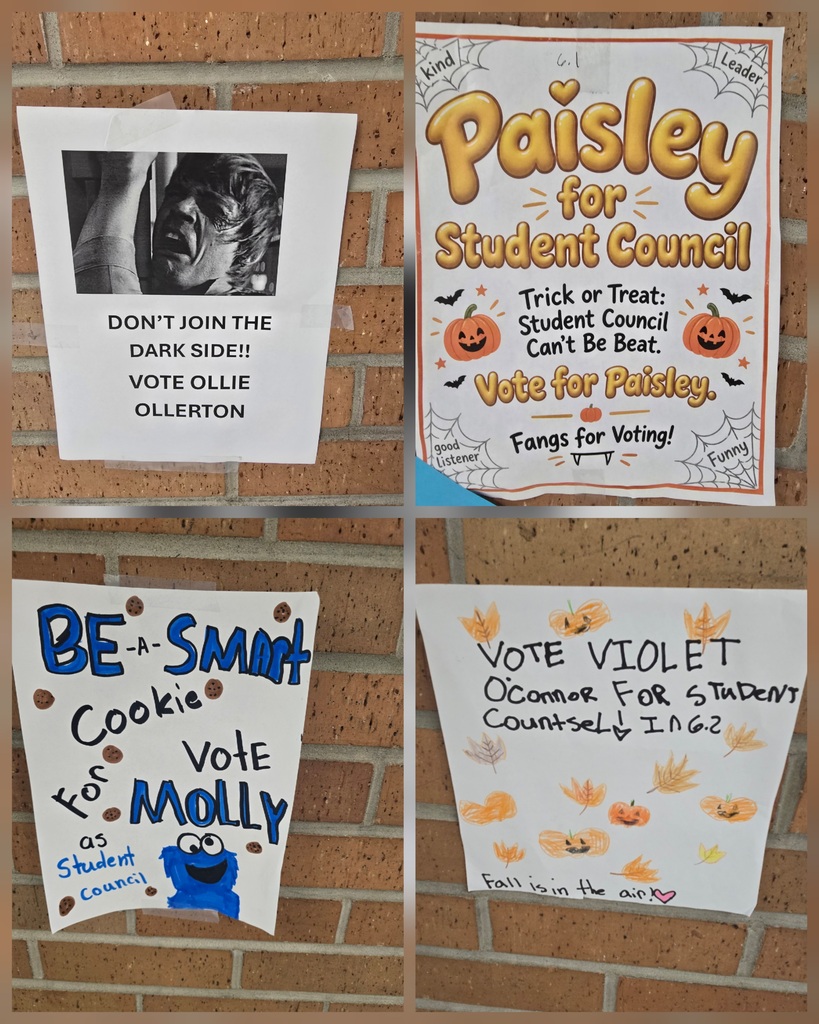 Student Council Campaign Posters
