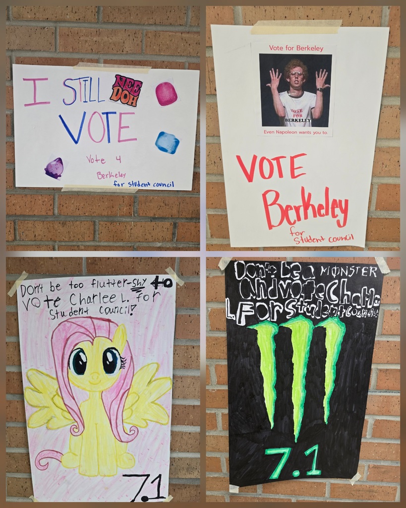 Student Council Campaign Posters