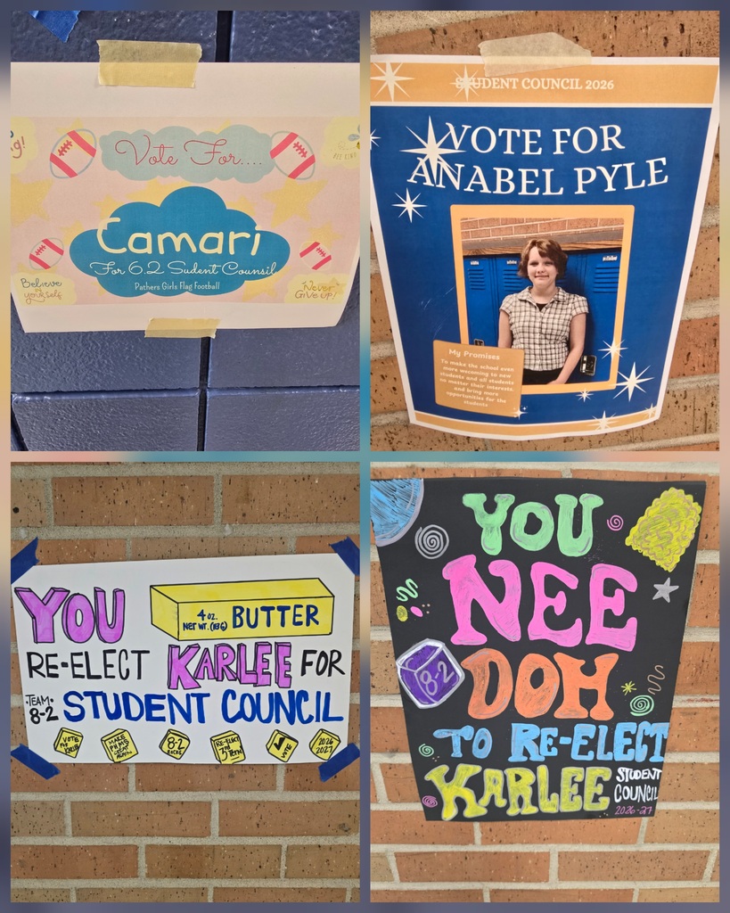 Student Council Campaign Posters