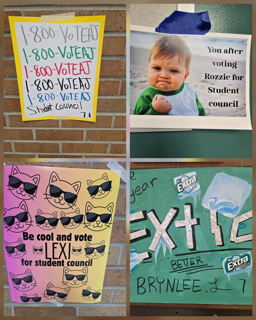 Student Council Campaign Posters