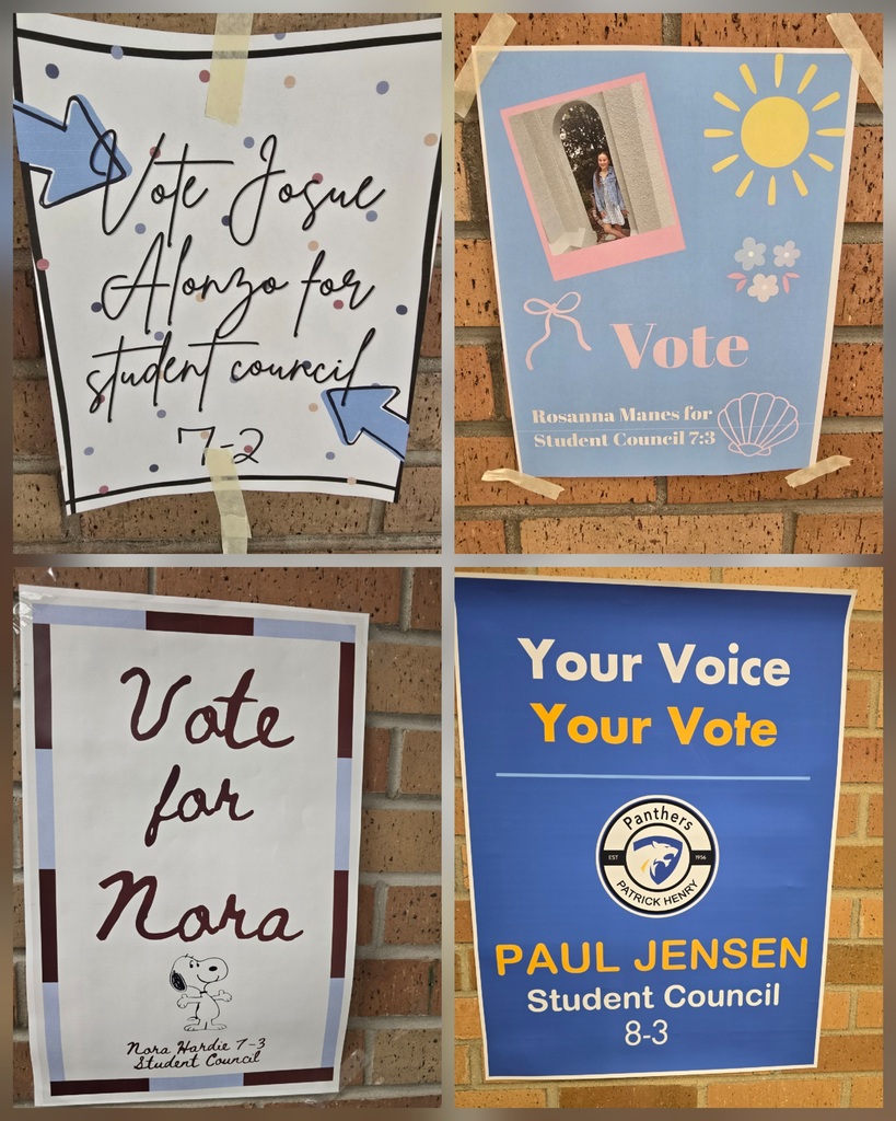 Student Council Campaign Posters