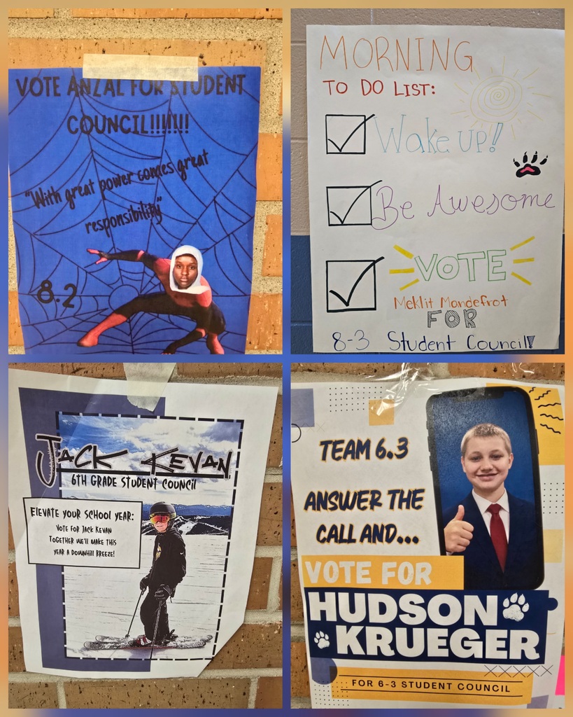 Student Council Campaign Posters