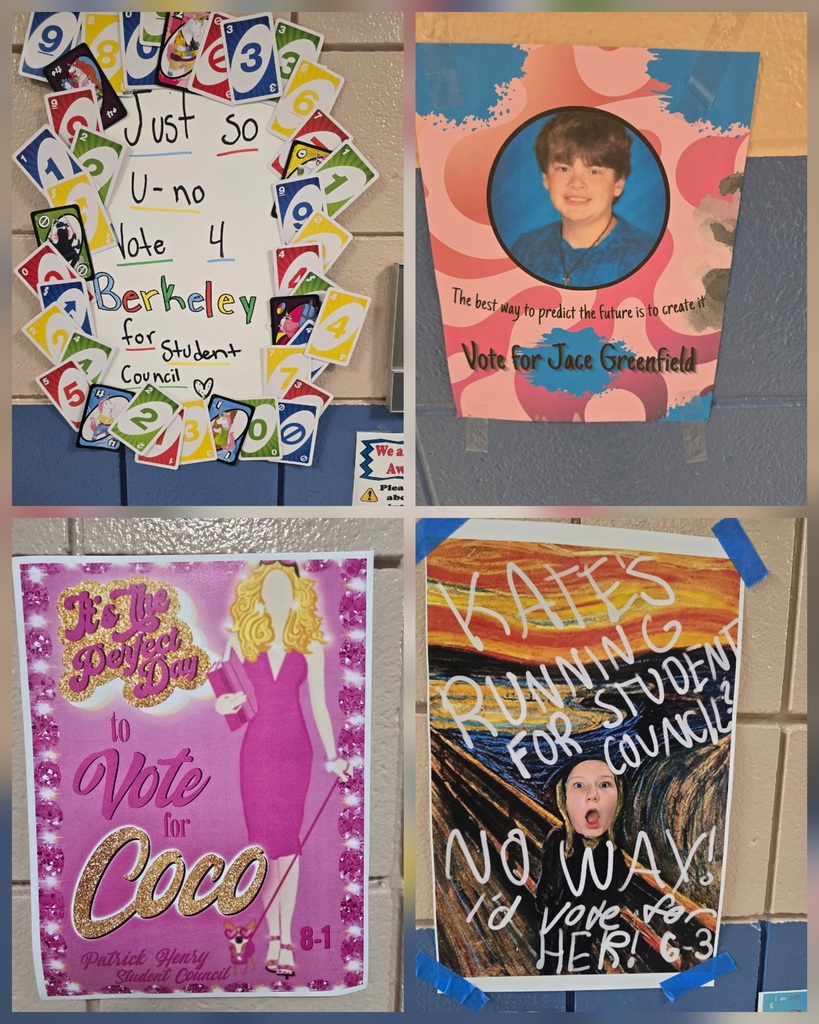Student Council Campaign Posters