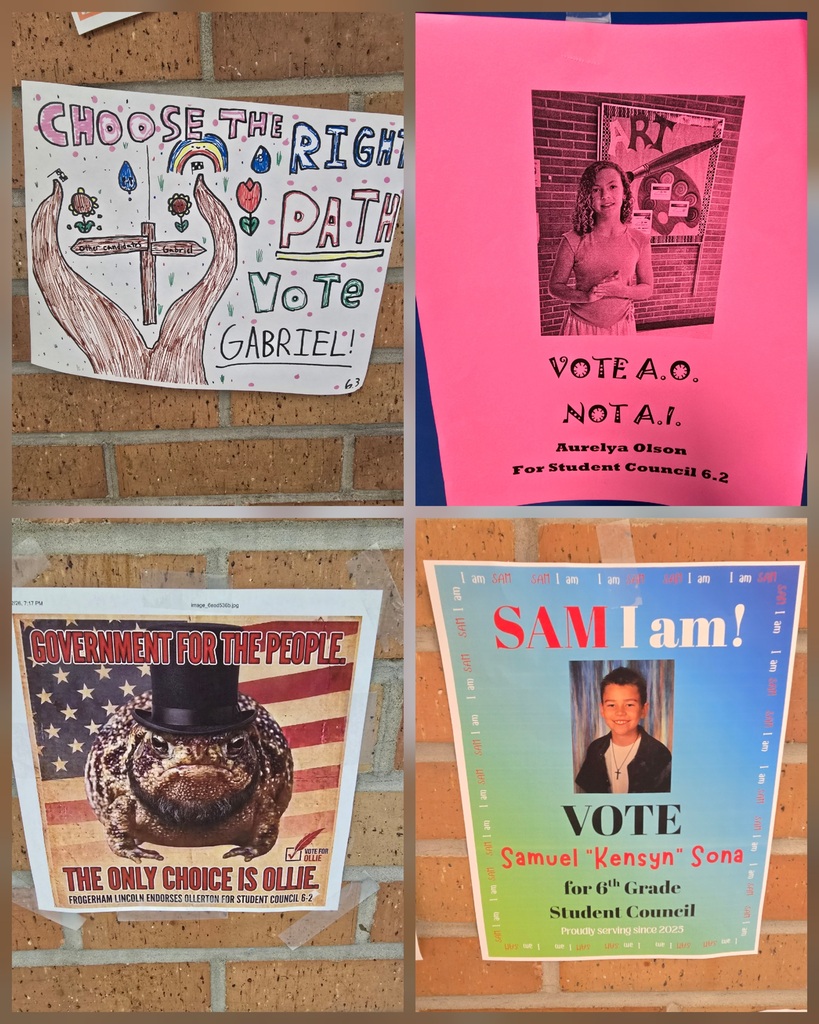 Student Council Campaign Posters