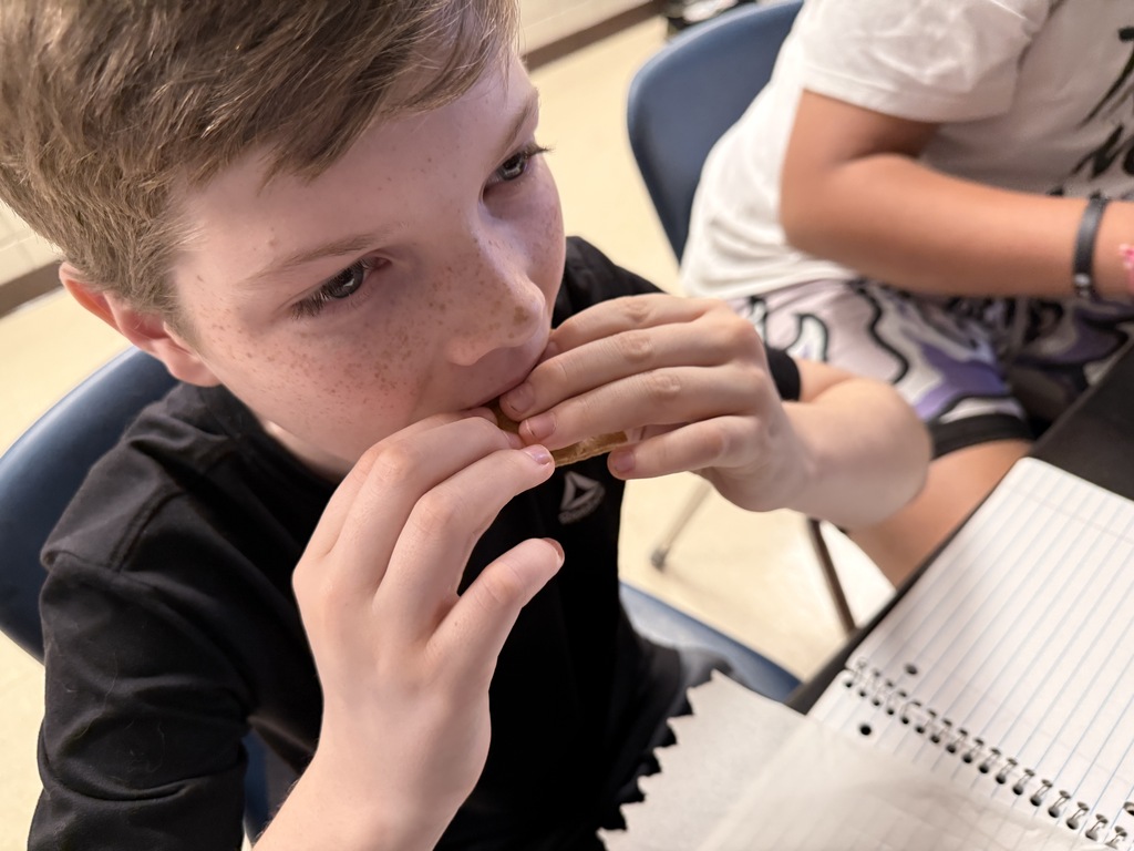 7-3 Science Smore Lab