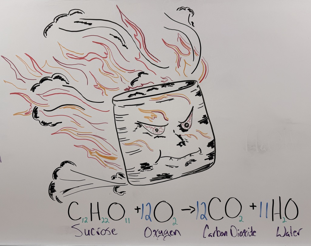 7-3 Science Smore Lab