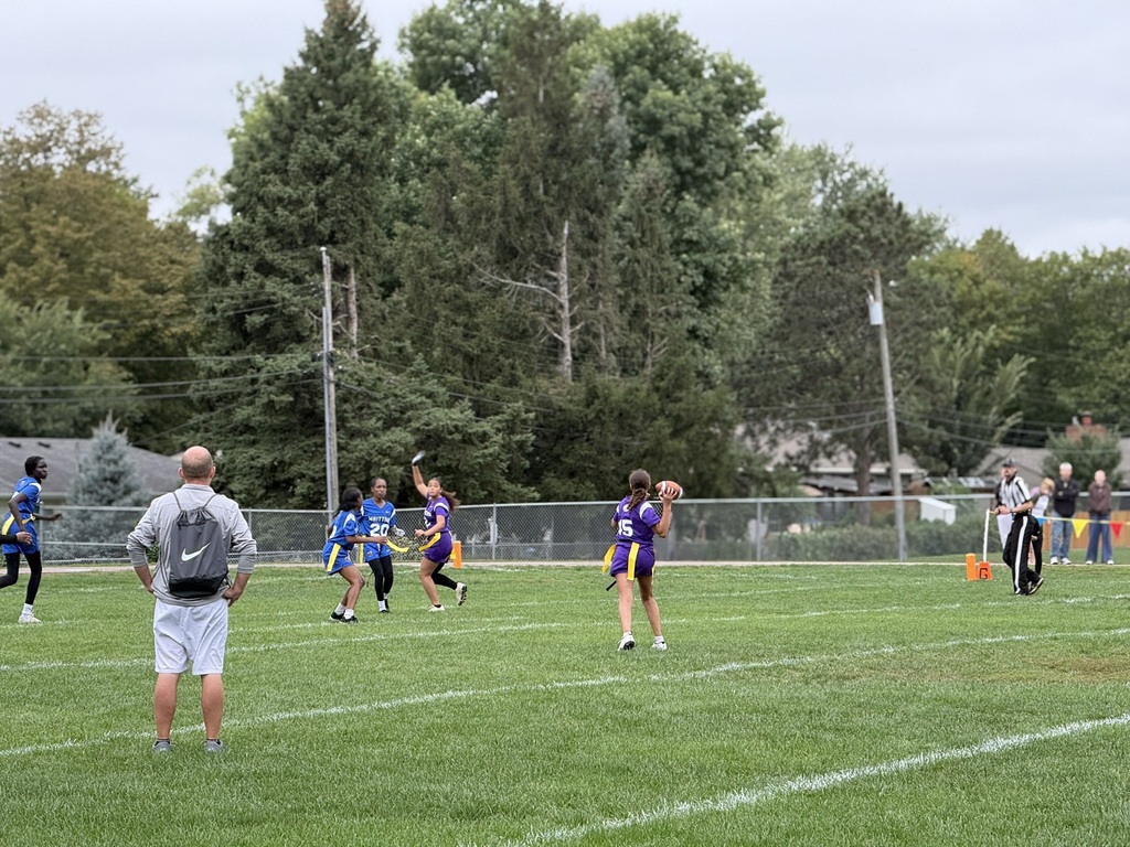 Players playing in a game. 
