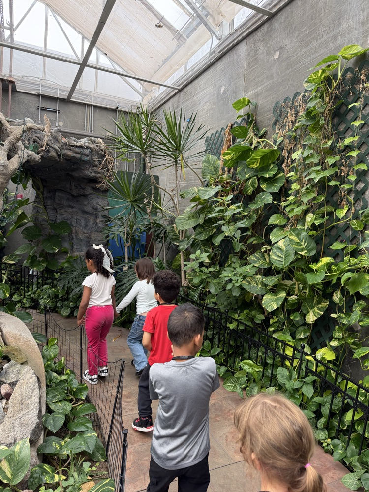 students walking through the butterfly house