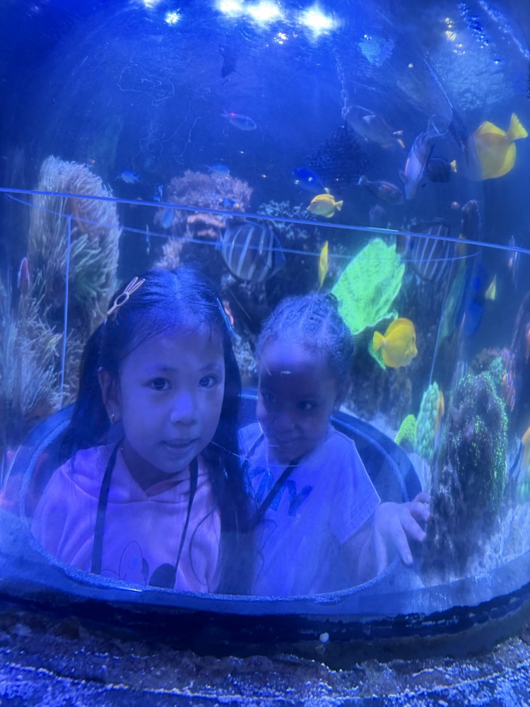 students peeking through the clear dome